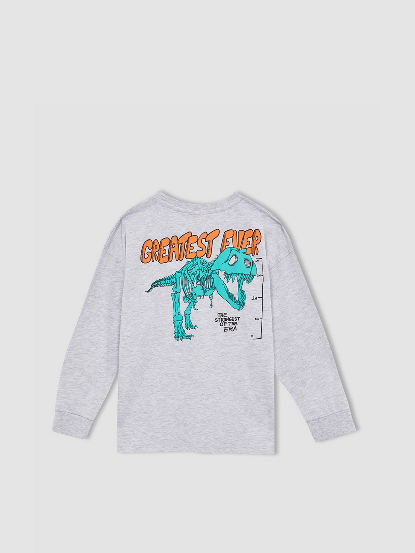 Свитшот DeFacto модель W7539A6-GR400 Фото