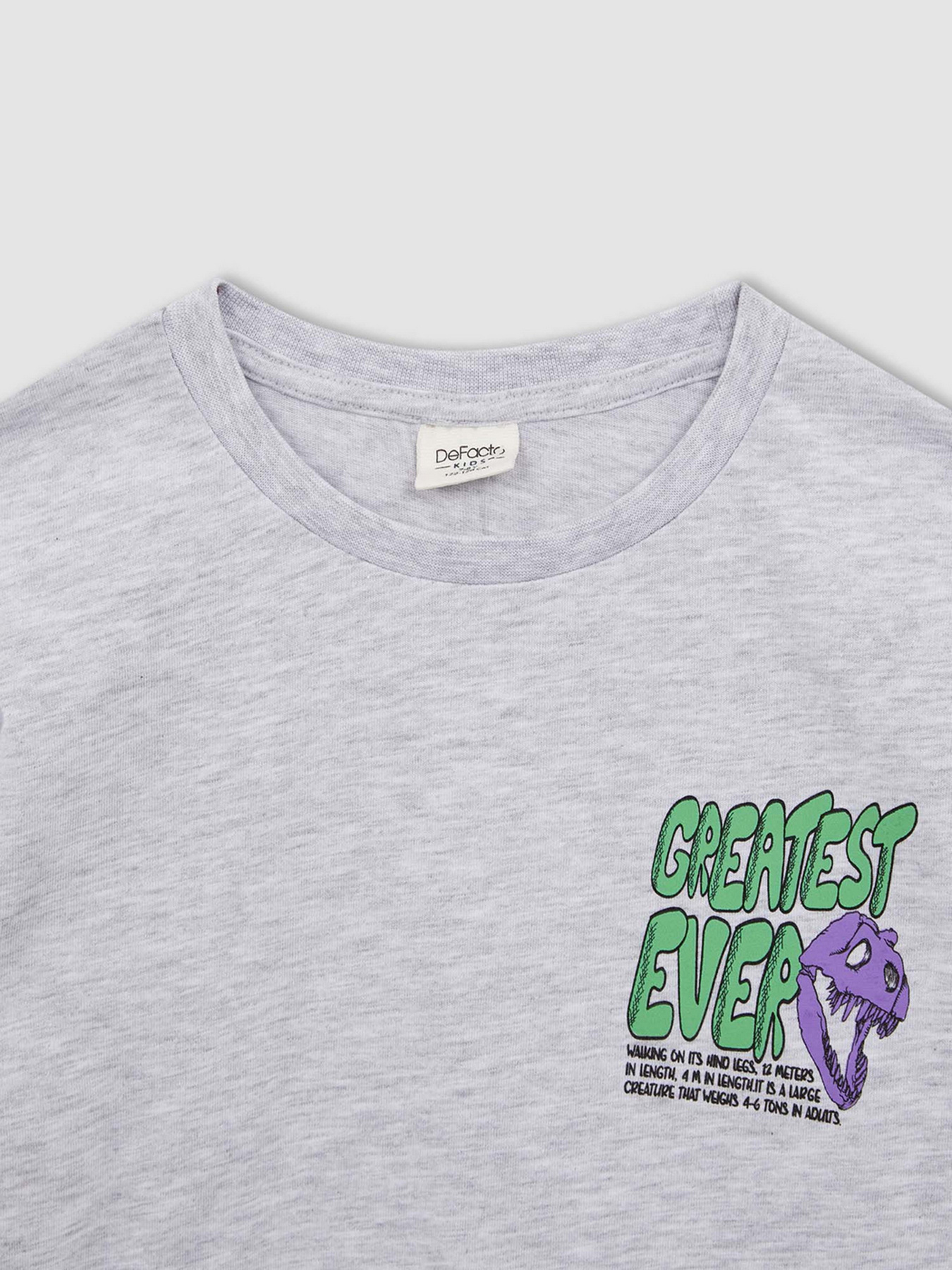 Свитшот DeFacto модель W7539A6-GR400 Фото