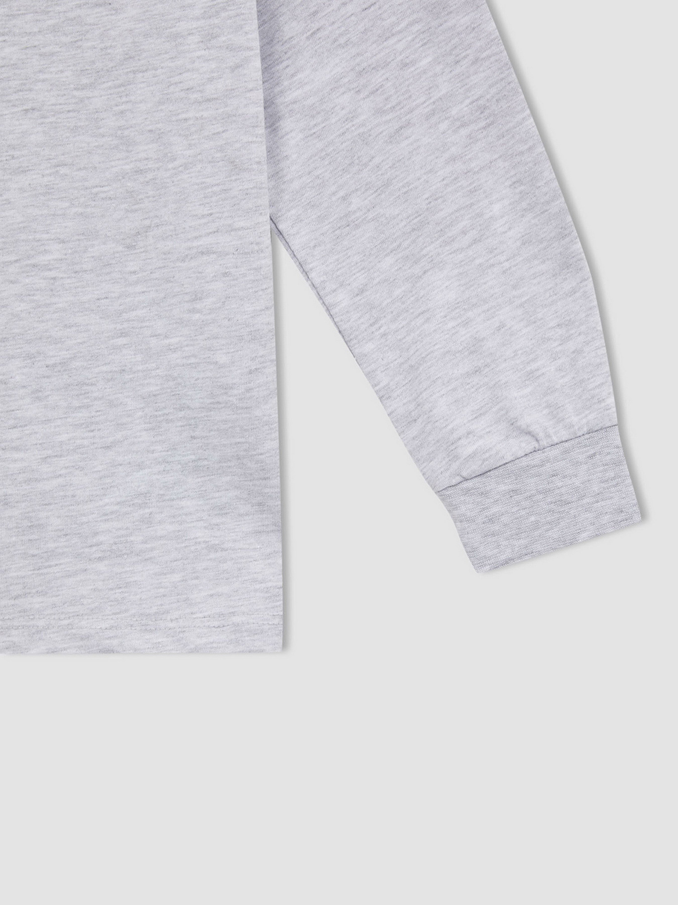 Свитшот DeFacto модель W7539A6-GR400 Фото