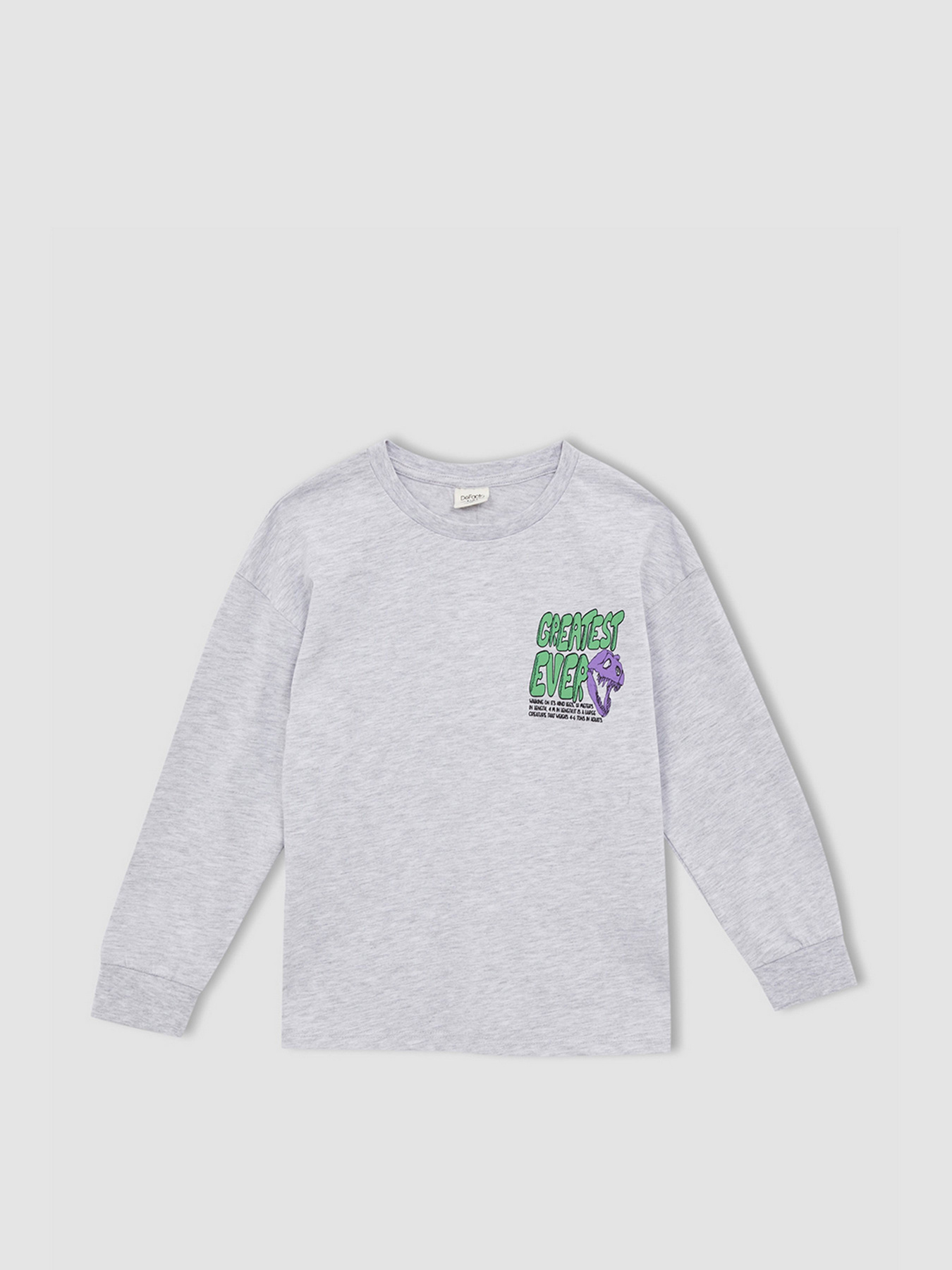 Свитшот DeFacto модель W7539A6-GR400 Фото