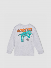 Свитшот DeFacto модель W7539A6-GR400 Фото