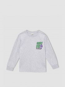 Свитшот DeFacto модель W7539A6-GR400 Фото