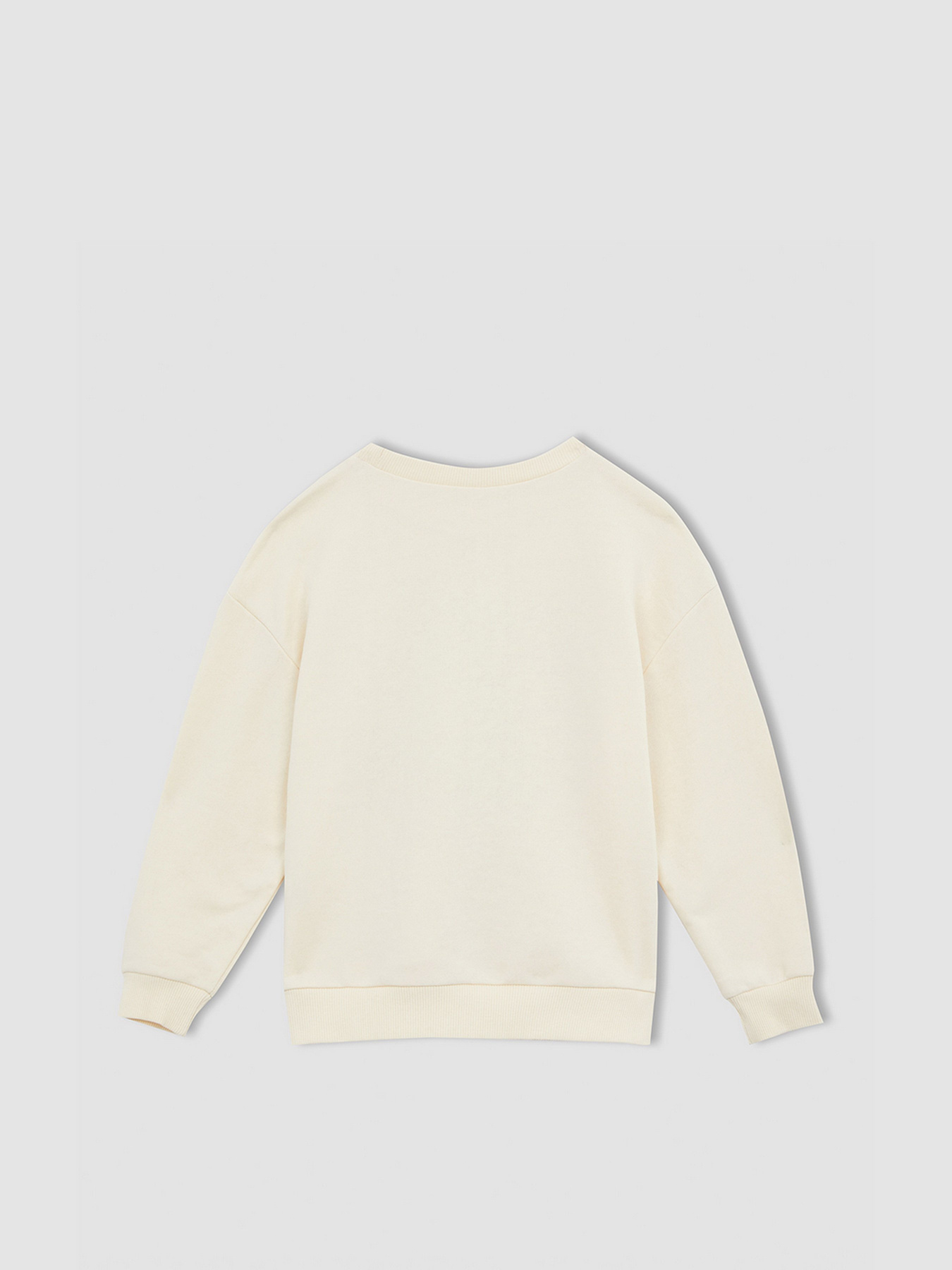 Свитшот DeFacto модель W7103A6-BG285 Фото