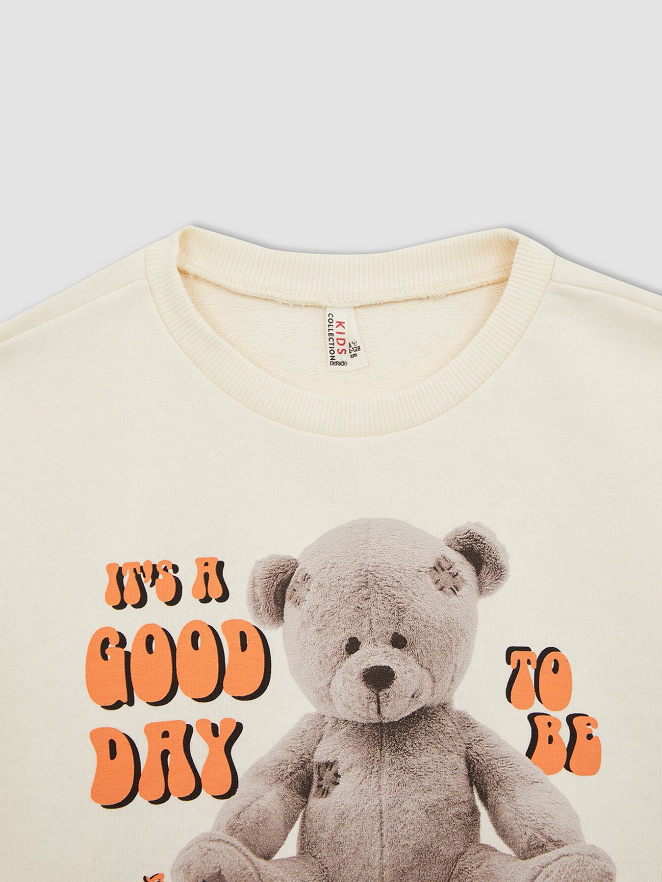 Свитшот DeFacto модель W7103A6-BG285 Фото