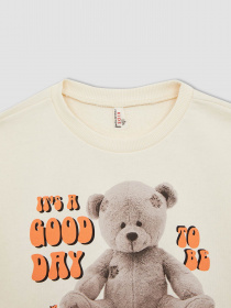 Свитшот DeFacto модель W7103A6-BG285 Фото