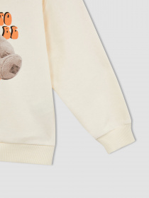 Свитшот DeFacto модель W7103A6-BG285 Фото