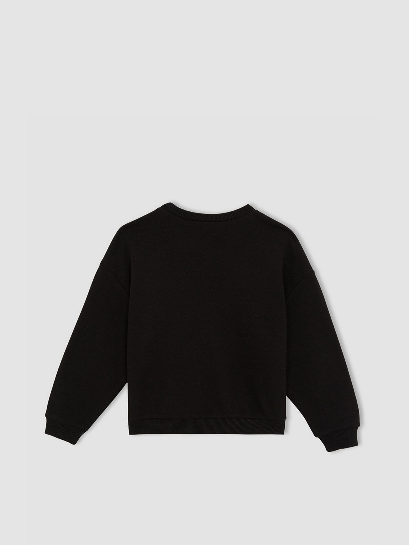 Свитшот DeFacto модель W6678A6-BK81 Фото