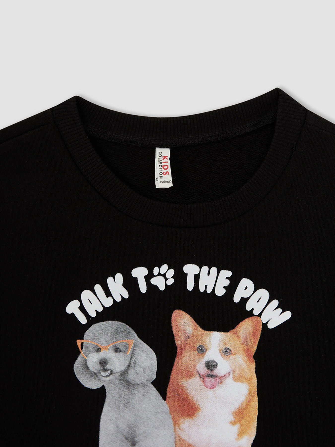 Свитшот DeFacto модель W6678A6-BK81 Фото