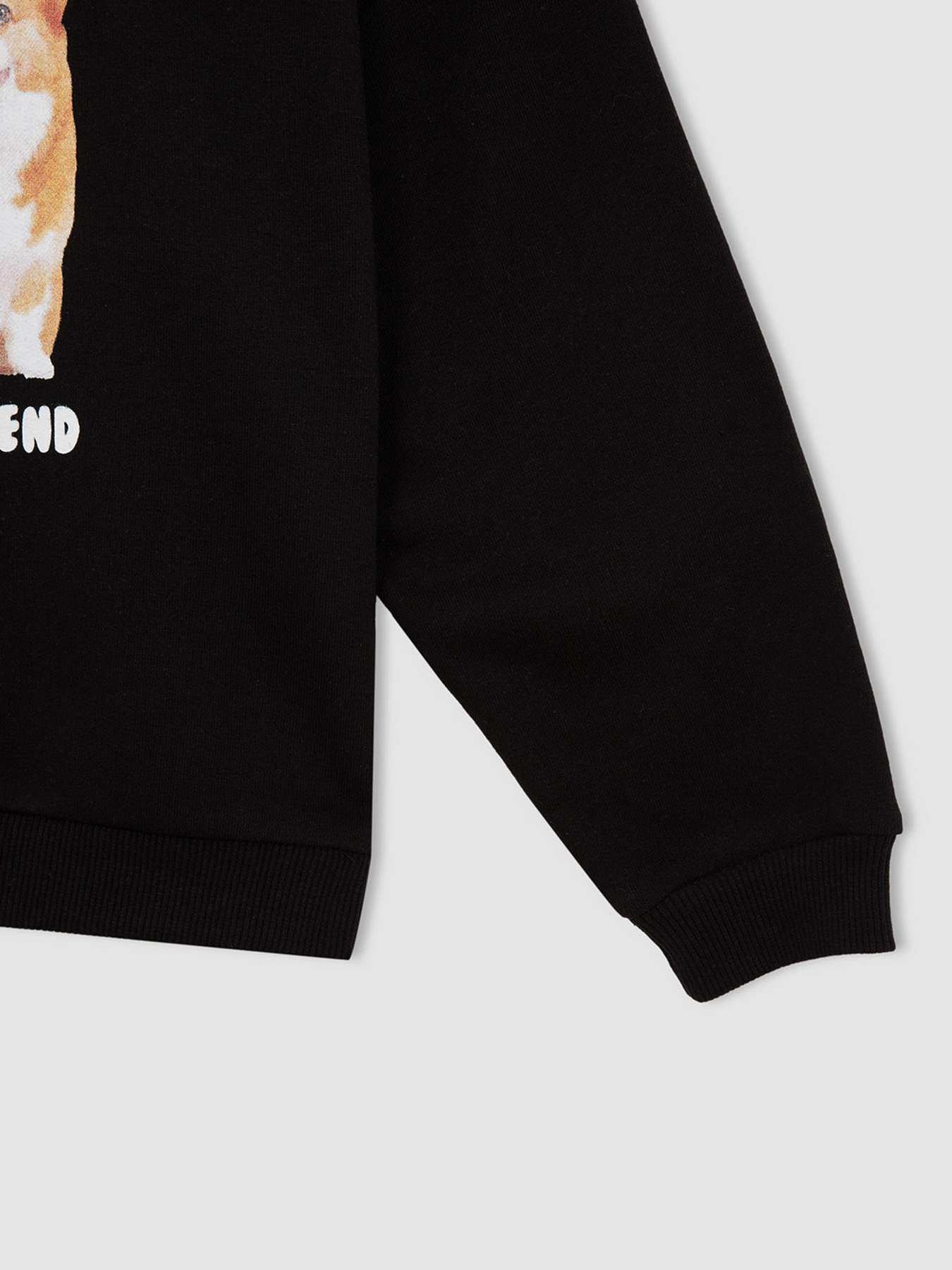 Свитшот DeFacto модель W6678A6-BK81 Фото