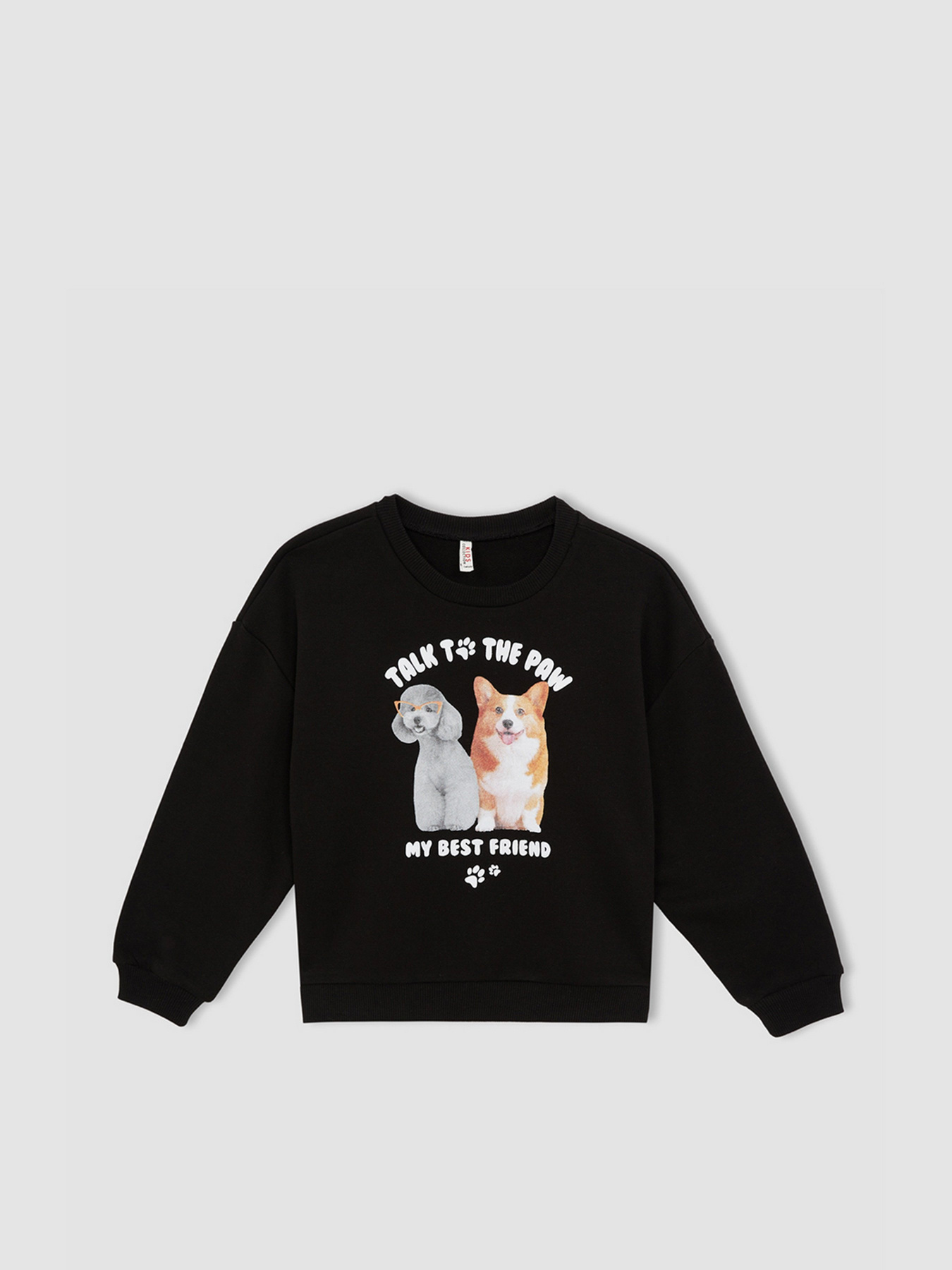 Свитшот DeFacto модель W6678A6-BK81 Фото