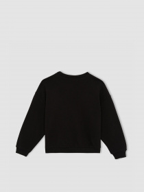 Свитшот DeFacto модель W6678A6-BK81 Фото