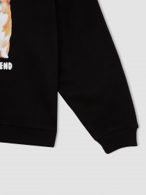 Свитшот DeFacto модель W6678A6-BK81 Фото