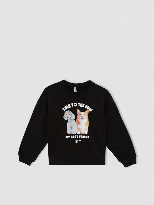 Свитшот DeFacto модель W6678A6-BK81 Фото