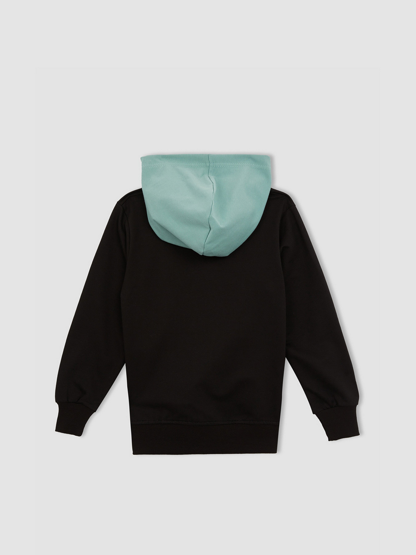 Худи DeFacto модель X4908A6-BK81 Фото