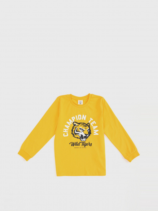 Реглан DeFacto модель S0747A6-YL190 Фото