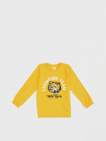 Реглан DeFacto модель S0747A6-YL190 Фото