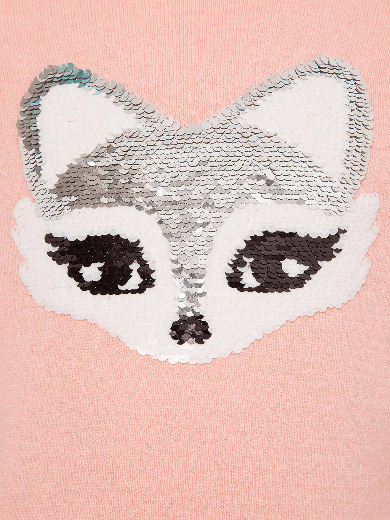 Пуловер DeFacto модель N8506A6-BR74 Фото