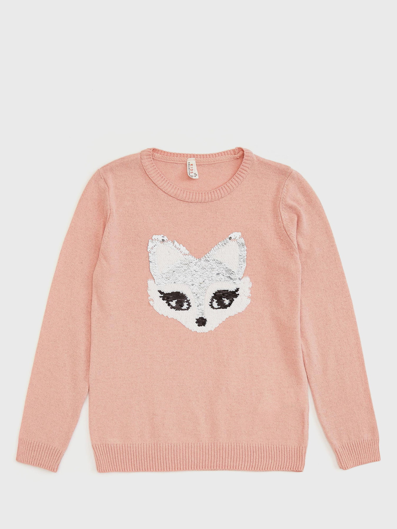 Пуловер DeFacto модель N8506A6-BR74 Фото