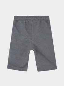 Шорты DeFacto модель X4206A6-AR31 Фото