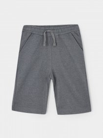 Повседневные шорты DeFacto модель X4206A6-AR31 Фото