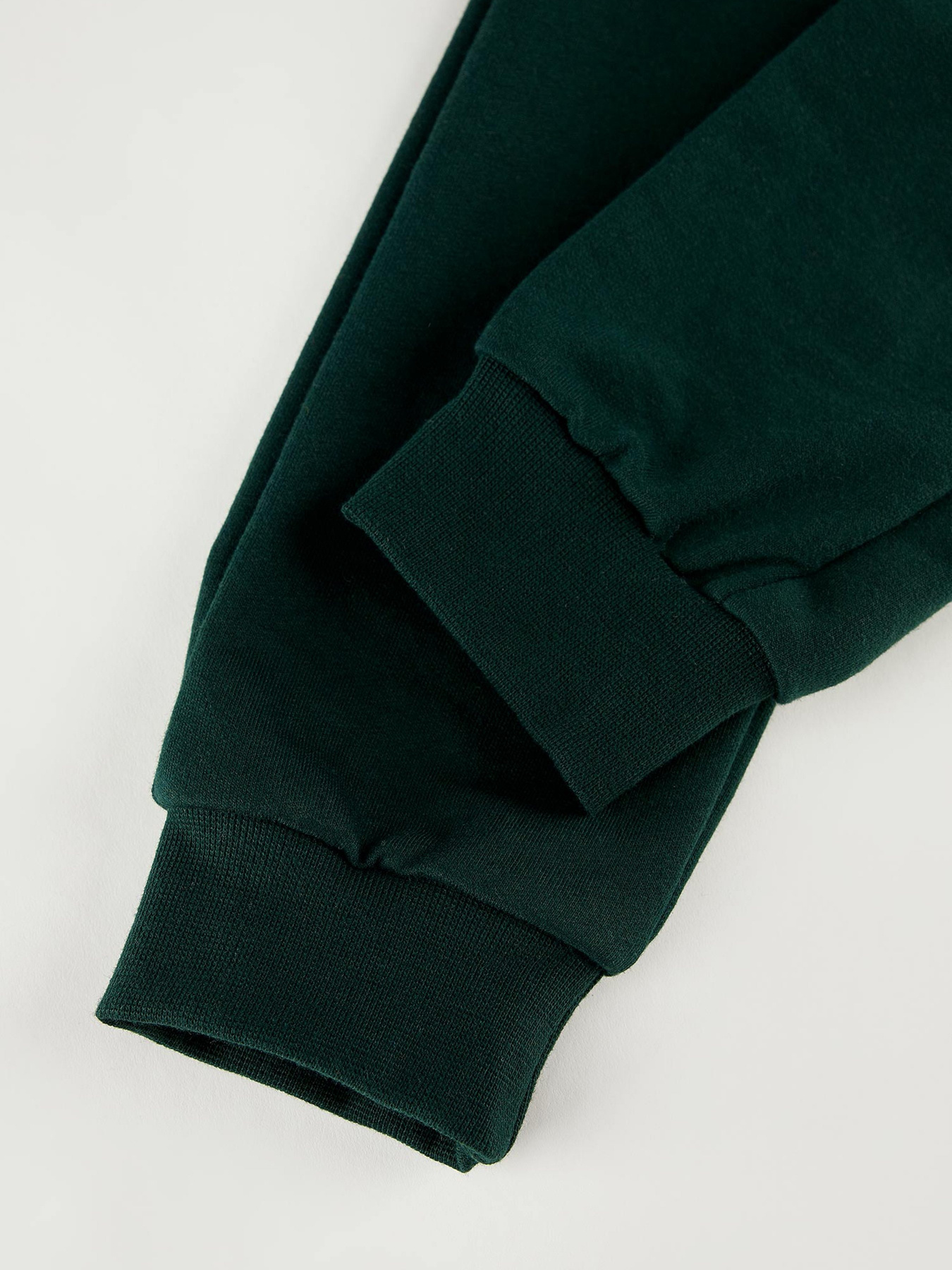 Штаны спортивные DeFacto модель T4532A6-GN245 Фото