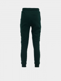 Штаны спортивные DeFacto модель T4532A6-GN245 Фото