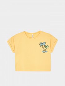 Футболка DeFacto модель X5054A6-OG305 Фото