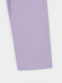 Леггинсы DeFacto модель J0128A6-PR33 Фото