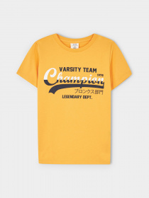 Футболка DeFacto модель X2663A6-OG43 Фото