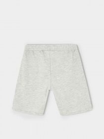 Шорты DeFacto модель M7032A6-GR98 Фото