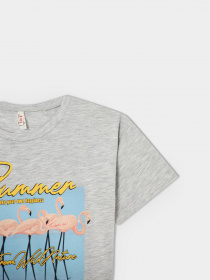 Футболки і поло DeFacto модель V7911A6-GR393 Фото