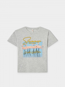 Футболки і поло DeFacto модель V7911A6-GR393 Фото