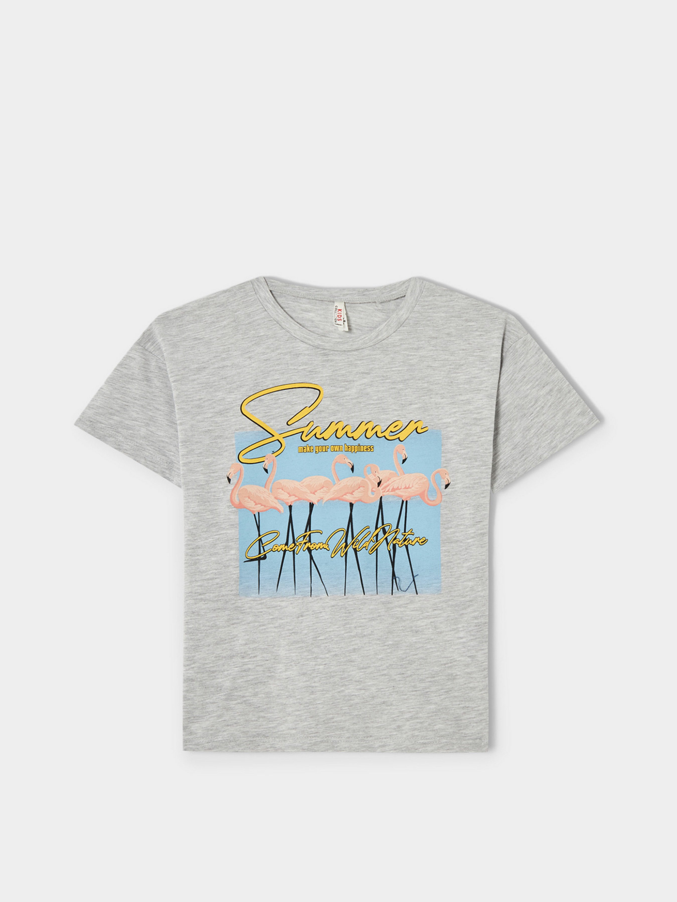 Футболки і поло DeFacto модель V7911A6-GR393 Фото