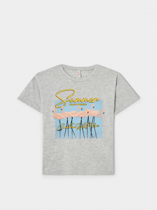 Футболки и поло DeFacto модель V7911A6-GR393 Фото