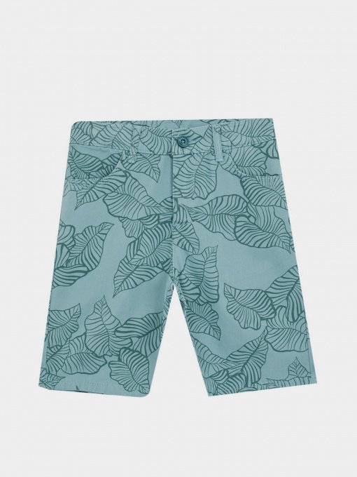 Повсякденні шорти DeFacto модель W8719A6-GN382 Фото