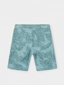 Повсякденні шорти DeFacto модель W8719A6-GN382 Фото