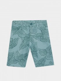 Повсякденні шорти DeFacto модель W8719A6-GN382 Фото