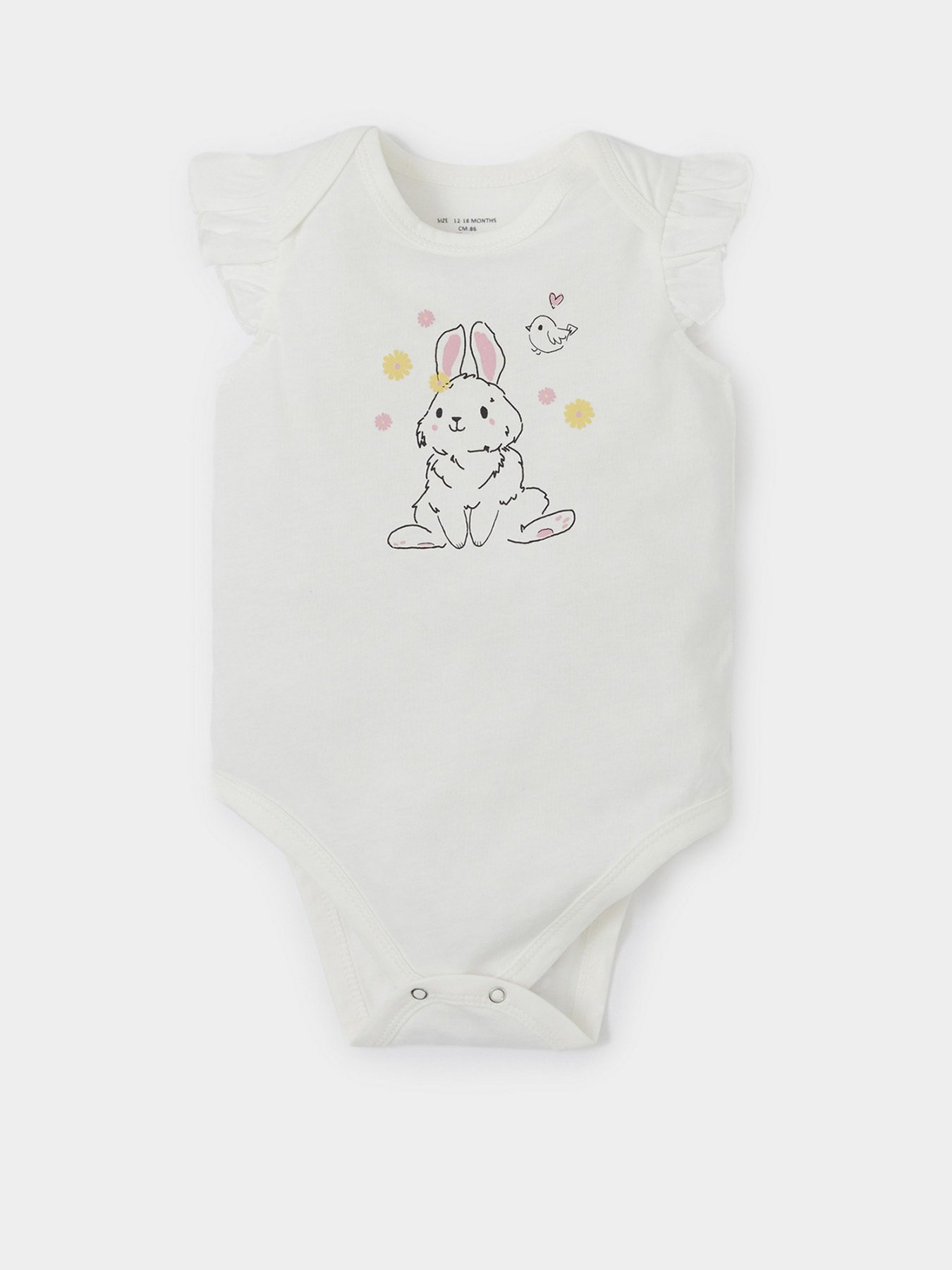 Боди для младенцев DeFacto модель X6018A2-ER85 Фото