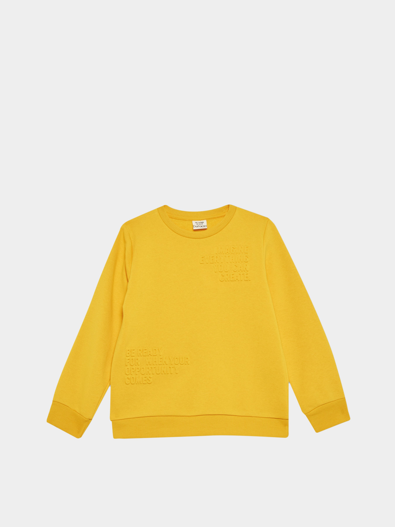 Свитшот DeFacto модель X9713A6-YL60 Фото