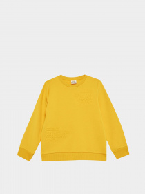 Свитшот DeFacto модель X9713A6-YL60 Фото