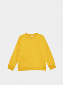 Свитшот DeFacto модель X9713A6-YL60 Фото