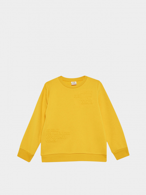 Свитшот DeFacto модель X9713A6-YL60 Фото