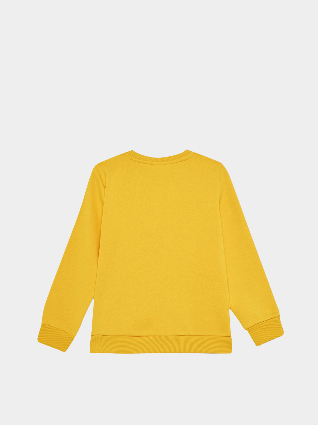 Свитшот DeFacto модель X9713A6-YL60 Фото