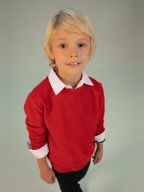 Свитшот DeFacto модель L0311A6-RD350 Фото