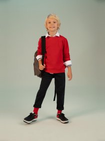 Свитшот DeFacto модель L0311A6-RD350 Фото