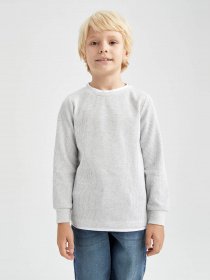 Джемпер DeFacto модель V1187A6-GR400 Фото