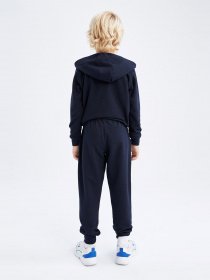 Джоггеры DeFacto модель K8846A6-NV218 Фото