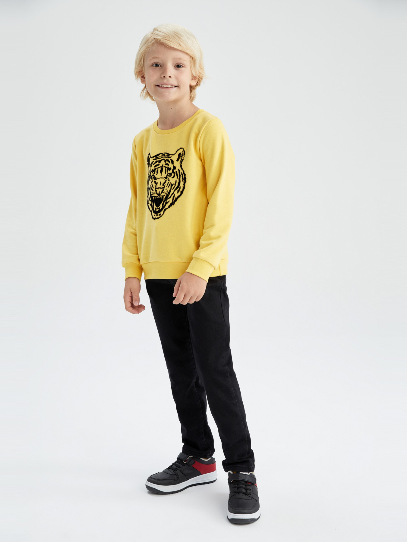 Свитшот DeFacto модель Y2613A6-YL284 Фото