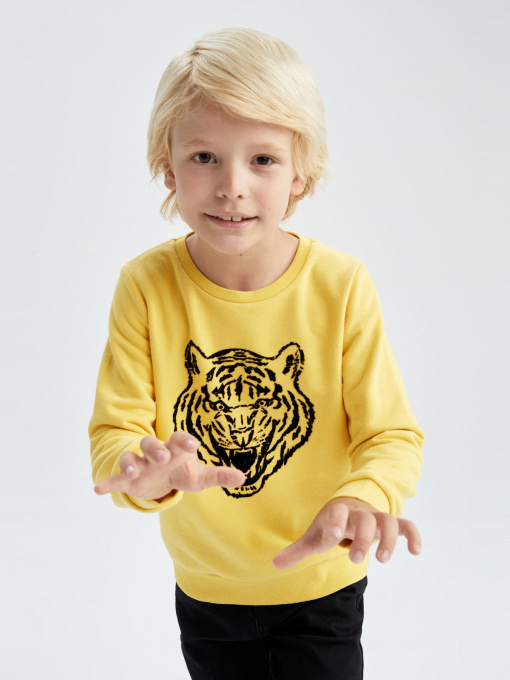 Свитшот DeFacto модель Y2613A6-YL284 Фото