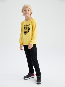 Свитшот DeFacto модель Y2613A6-YL284 Фото